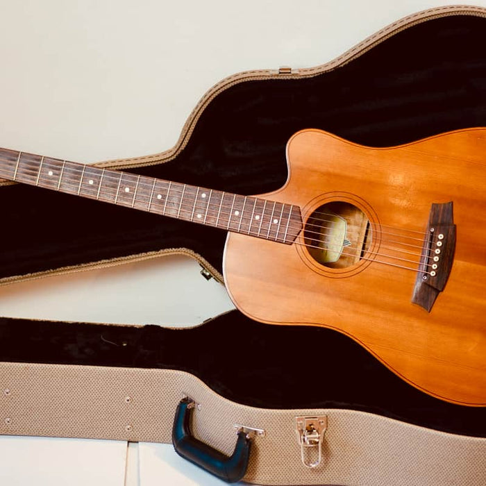 Cole Clark FL2AC Natural