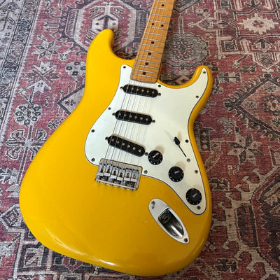 Fender International Series Stratocaster with Rose...