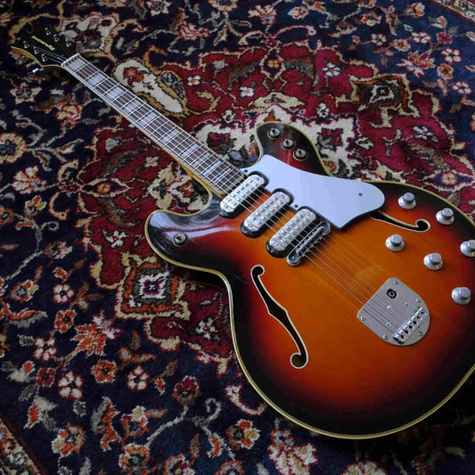 Dynacord Dynacord 1960s Dynacord DC3V Sunburst - Reverb