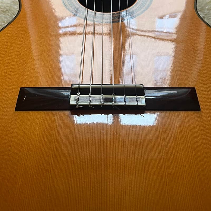 T. Matsuoka M20 Gloss