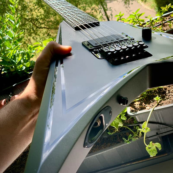 ESP E-ALEXI BLACKY Black with Black Stripe