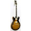 Jsm100-Vt Vintage Sunburst Signature John Scofield