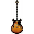 Jsm100-Vt Vintage Sunburst Signature John Scofield