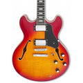 Larry Carlton H7 Cs
