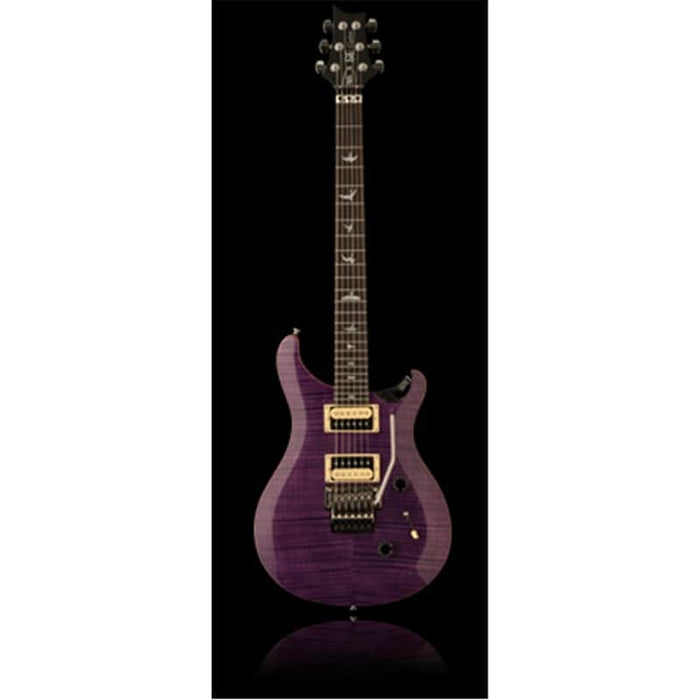 PRS SE CUSTOM 24 FLOYD Tremolo 3 Vie Amethyst Amethyst