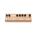 Fame MFX AC Rig