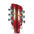 Rickenbacker 330 12 Saiten Fireglo