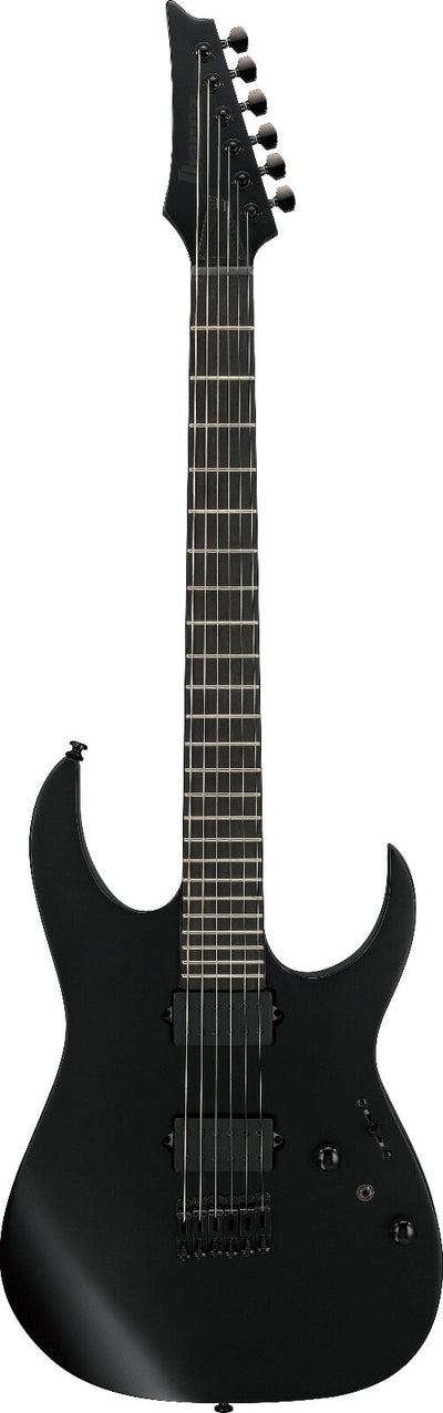 Ibanez Ibanez RGRTB621-BKF Iron Label 6 String - Black Flat B-Stock - Offerta BSTOCK
