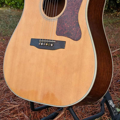 Gibson J-55 Natural